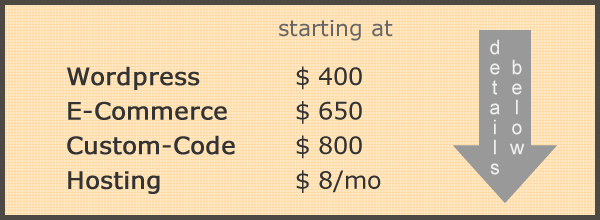 Web Design & Hosting Fees